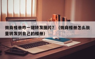 微商相册咋一键转发图片？（微商相册怎么批量转发到自己的相册）