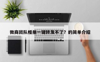 微商团队相册一键转发不了？的简单介绍