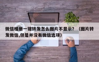 微信相册一键转发怎么图片不显示？（图片转发微信,但是并没有微信选项）