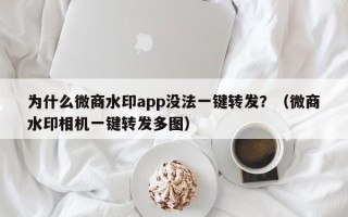 为什么微商水印app没法一键转发？（微商水印相机一键转发多图）