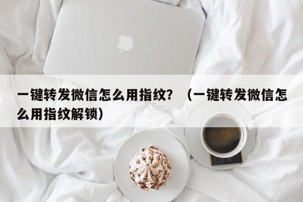 一键转发微信怎么用指纹？（一键转发微信怎么用指纹解锁）-第1张图片-微多开