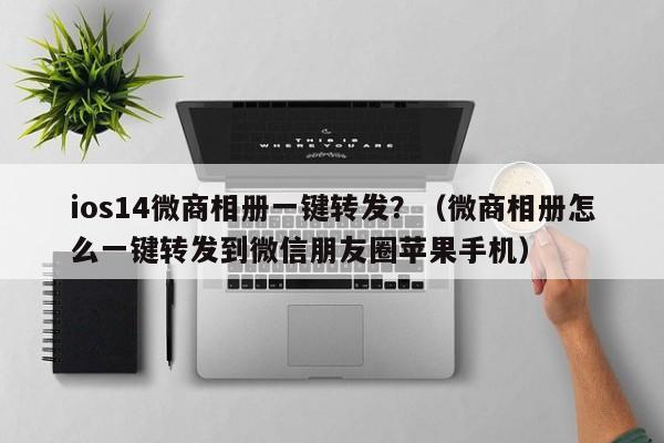 ios14微商相册一键转发？（微商相册怎么一键转发到微信朋友圈苹果手机）-第1张图片-微多开