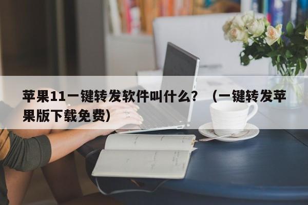 苹果11一键转发软件叫什么？（一键转发苹果版下载免费）-第1张图片-微多开