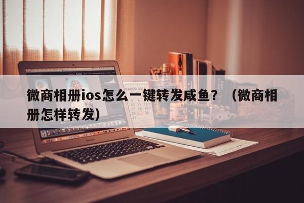 微商相册ios怎么一键转发咸鱼？（微商相册怎样转发）-第1张图片-微多开