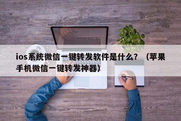 ios系统微信一键转发软件是什么？（苹果手机微信一键转发神器）-第1张图片-微多开