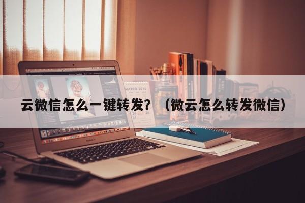 云微信怎么一键转发？（微云怎么转发微信）-第1张图片-微多开