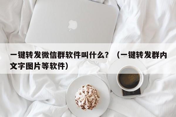 一键转发微信群软件叫什么？（一键转发群内文字图片等软件）-第1张图片-微多开