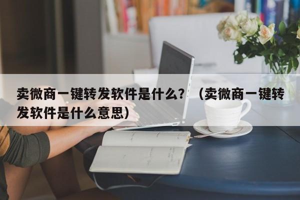 卖微商一键转发软件是什么？（卖微商一键转发软件是什么意思）-第1张图片-微多开