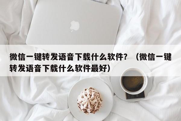 微信一键转发语音下载什么软件？（微信一键转发语音下载什么软件最好）-第1张图片-微多开