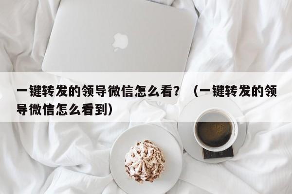 一键转发的领导微信怎么看？（一键转发的领导微信怎么看到）-第1张图片-微多开