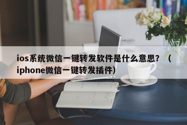 ios系统微信一键转发软件是什么意思？（iphone微信一键转发插件）-第1张图片-微多开